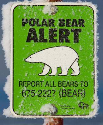 polar bear alert sign