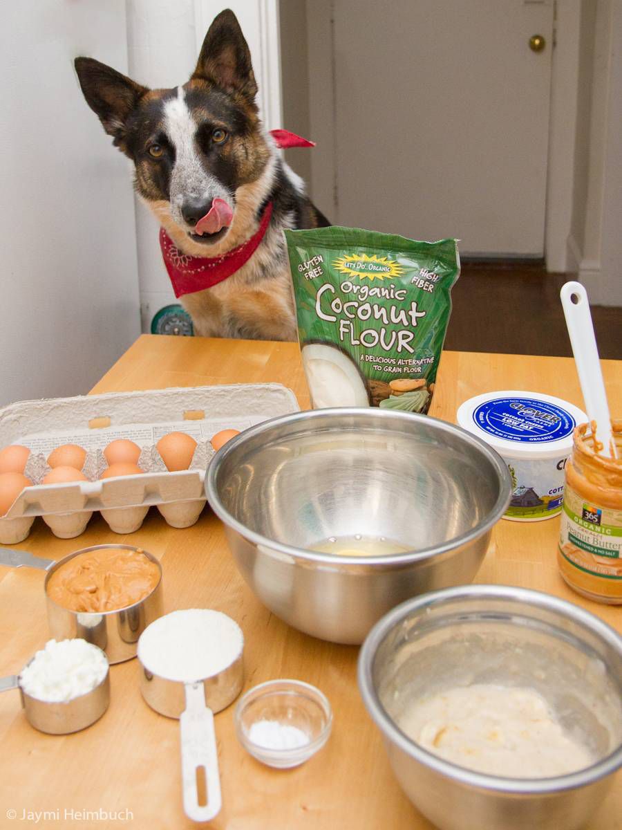 un perro con ingredientes para hacer una tarta de cumpleaños para perros