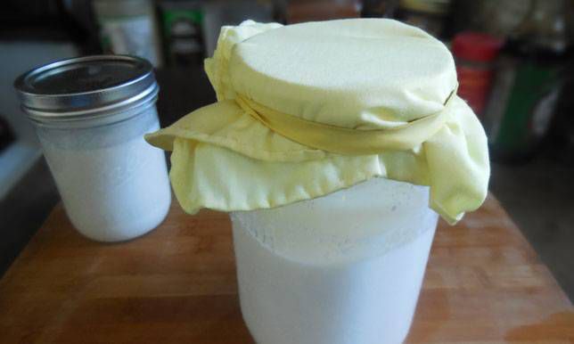 Cubre el tarro con una gasa, una toalla de papel o una servilleta y sujétalo con una goma elástica