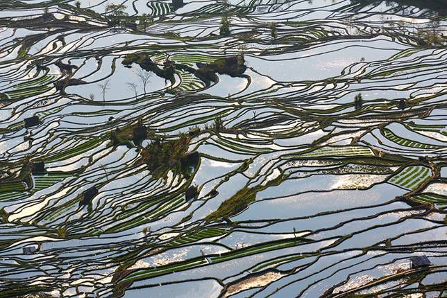 Cielo reflejado en las terrazas de arroz