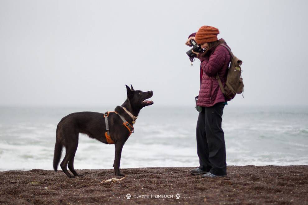 Natalia Martínez fotografía a su perro Willow en la playa una mañana