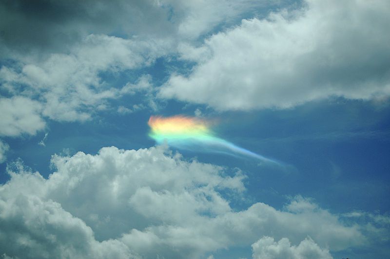 arco circunferencial parece un pez en el cielo de Portugal