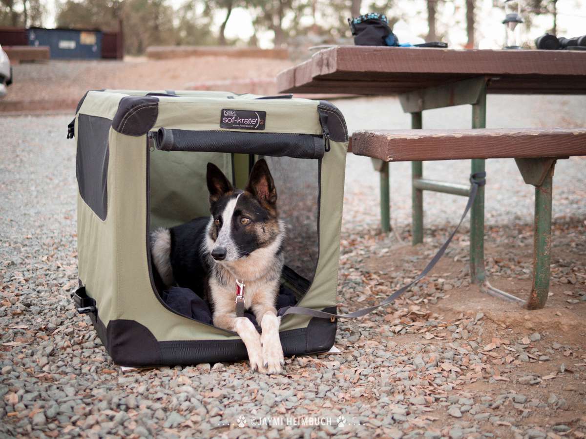 Una jaula es una forma estupenda de proporcionar a tu perro un lugar donde acurrucarse cómodamente, así como una forma de mantenerlo dentro del camping