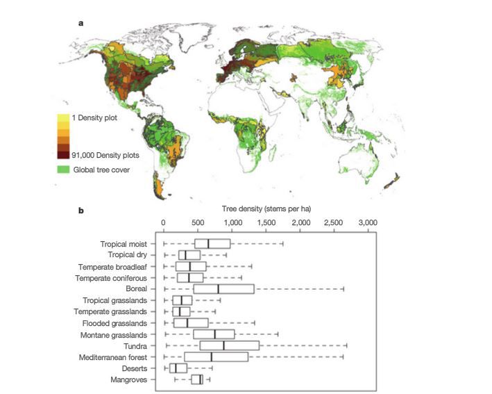 mapa de densidad global de árboles