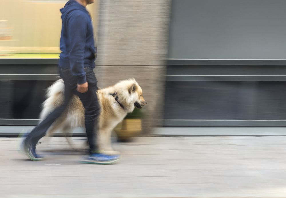 hombre paseando al perro por el centro