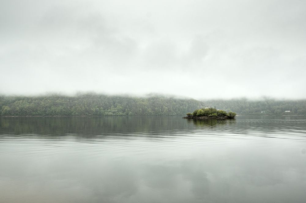 Una pequeña isla destaca sobre un lago cubierto de bruma