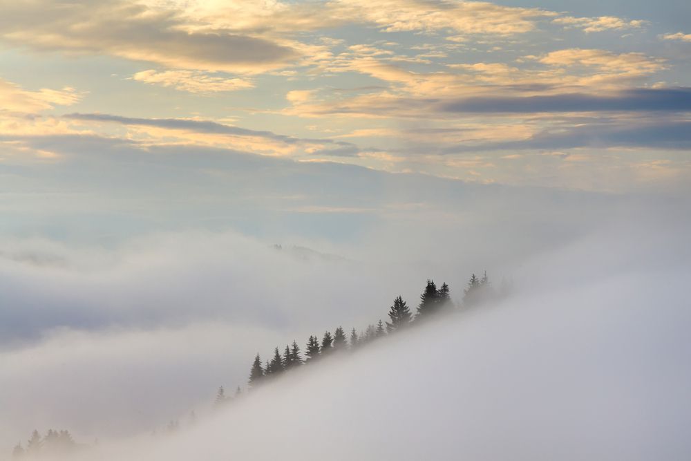 La niebla siempre es un personaje útil en los paisajes minimalistas