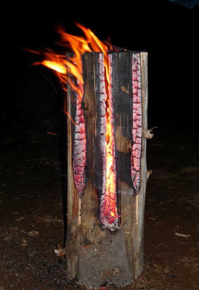 El calor del tronco será lo suficientemente intenso como para cocinar la comida, así que ten preparada una sartén de hierro fundido