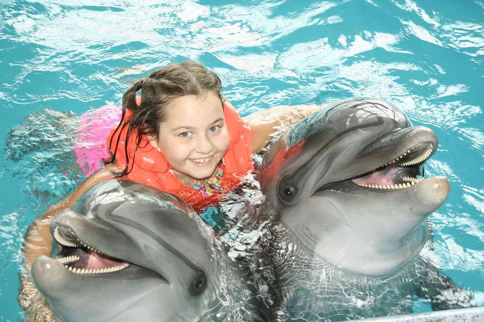 girl hugs two dolphins