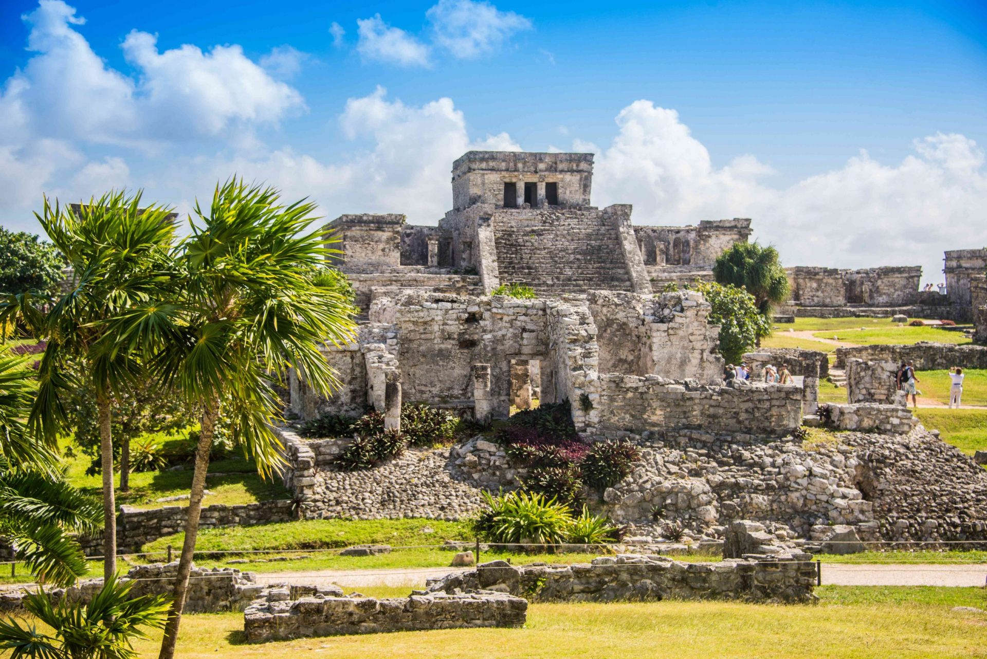 Ruinas de un templo maya construido sobre una colina cubierta de hierba con palmeras en primer plano