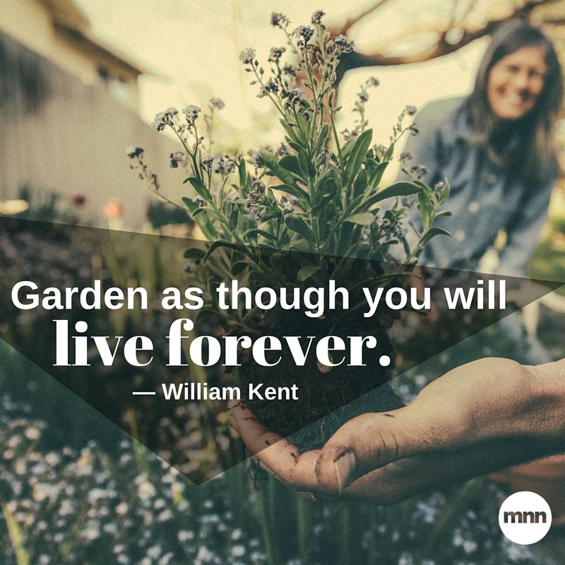 Cita sobre jardinería: Palabras de sabiduría para el pulgar verde que todos llevamos dentro