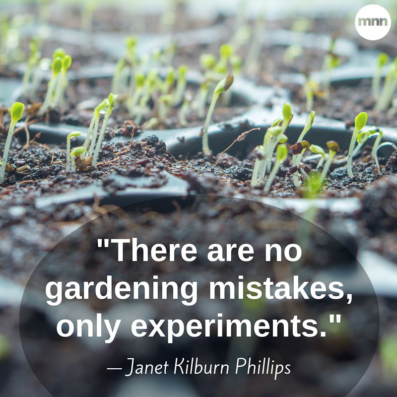 No hay errores de jardinería, sólo experimentos