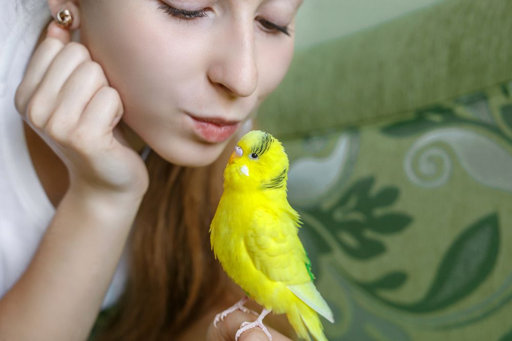 Adolescente con pájaro como mascota