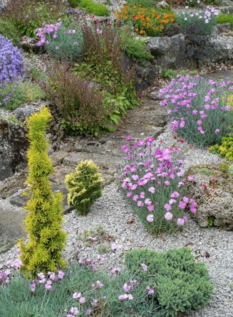 Un camino en un jardín de rocas flanqueado por diferentes tipos de flores