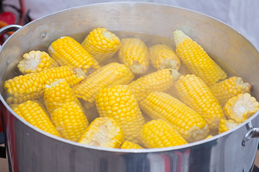 Mazorca de maíz en una olla de agua