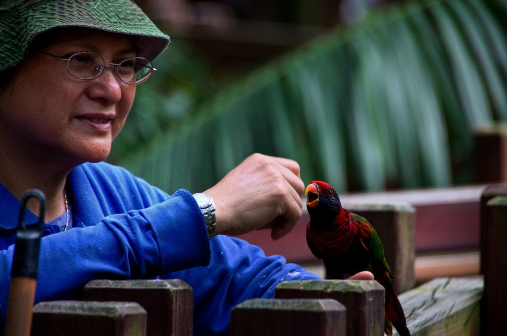 Una mujer interactúa con un pájaro en el Aviario Edward Youde de Hong Kong