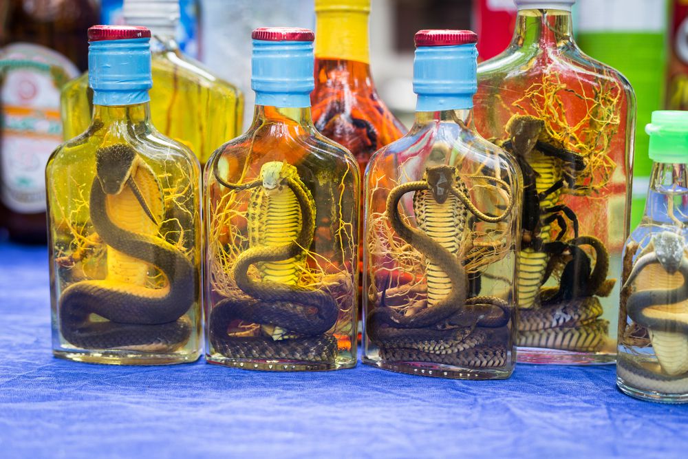 Las serpientes se ahogan vivas para hacer esta bebida