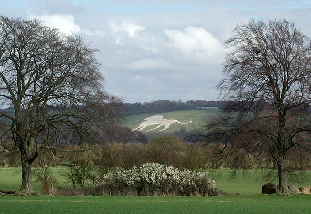 Tallado en tiza del León Blanco de Whipsnade en la verde pradera de una colina rodeada de árboles y flores bajo un cielo azul con nubes blancas