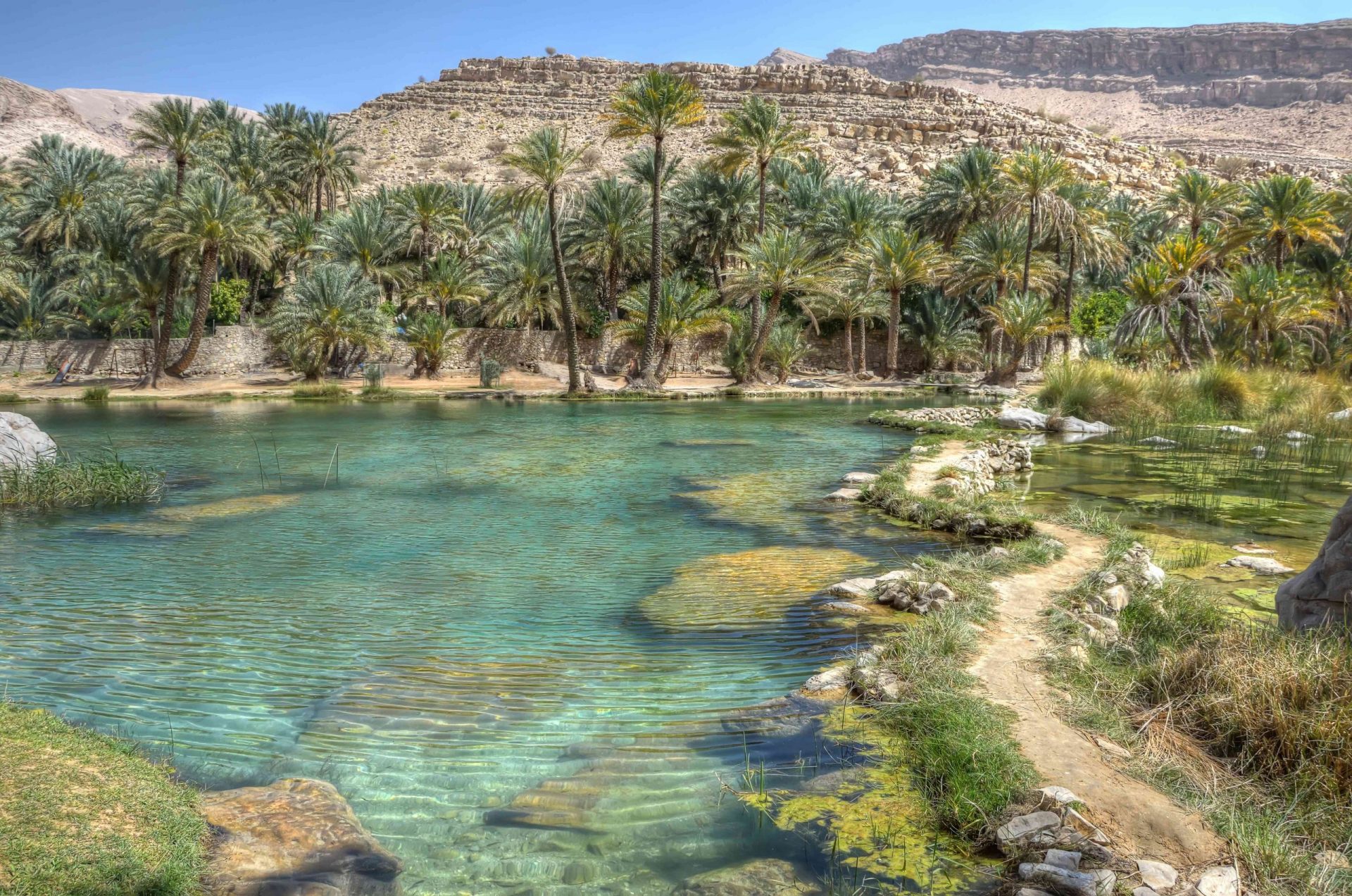 aguas azules y transparentes de Wadi Bani Khalid en el valle de Omán, rodeadas de palmeras con el desierto más allá
