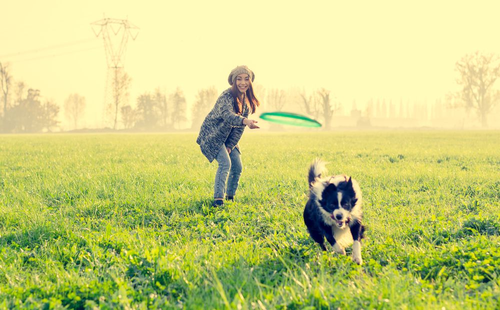 mujer jugando al frisbee con el perro