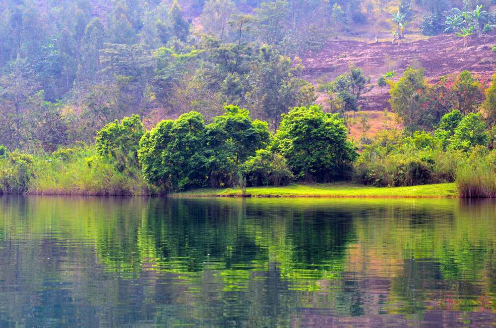 Los árboles de color verde brillante se reflejan en el agua del lago Kivu