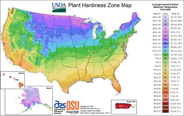 Mapa de la zona de rusticidad de las plantas del USDA