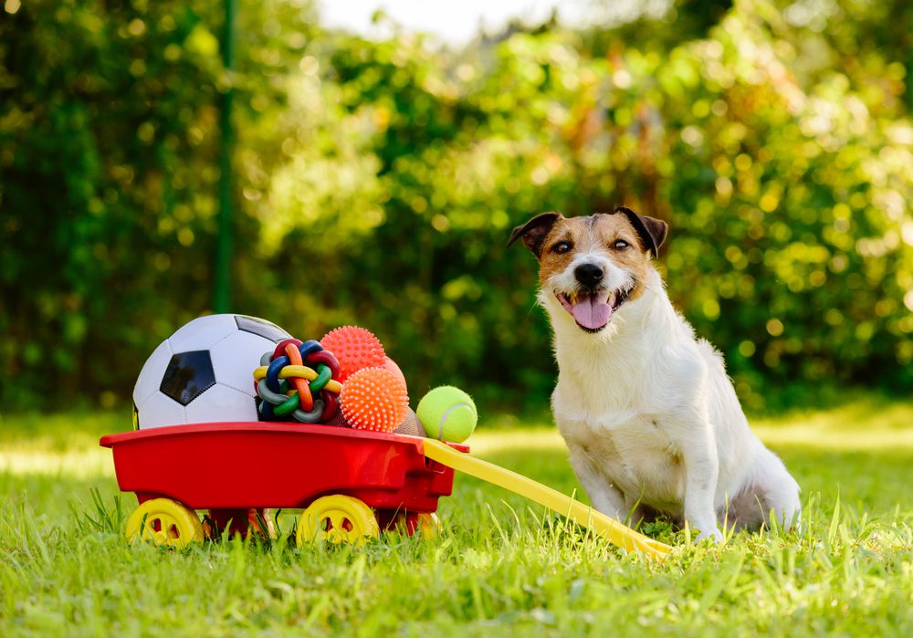 perro con vagón de juguetes