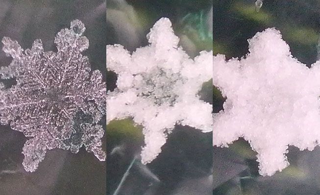 La progresión de un cristal de nieve a graupel