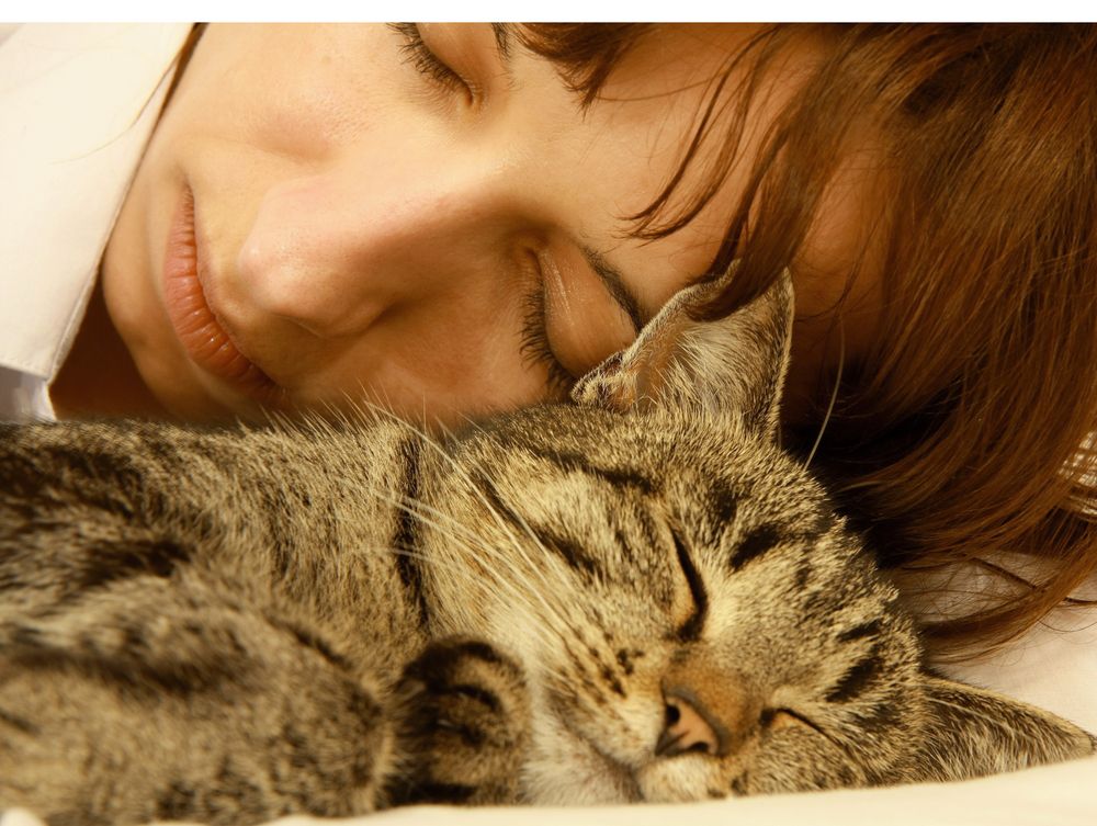 gato durmiendo con una mujer