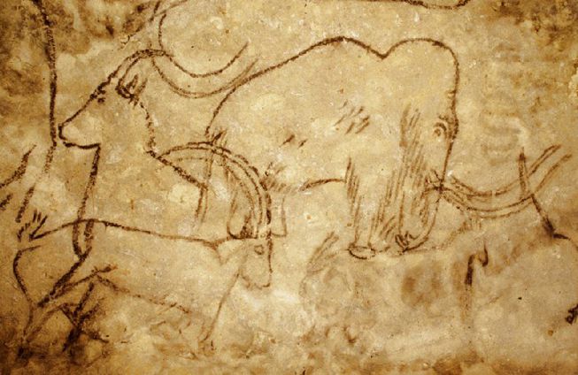 Un mamut está representado en las paredes de las cuevas de Rouffignac en Francia