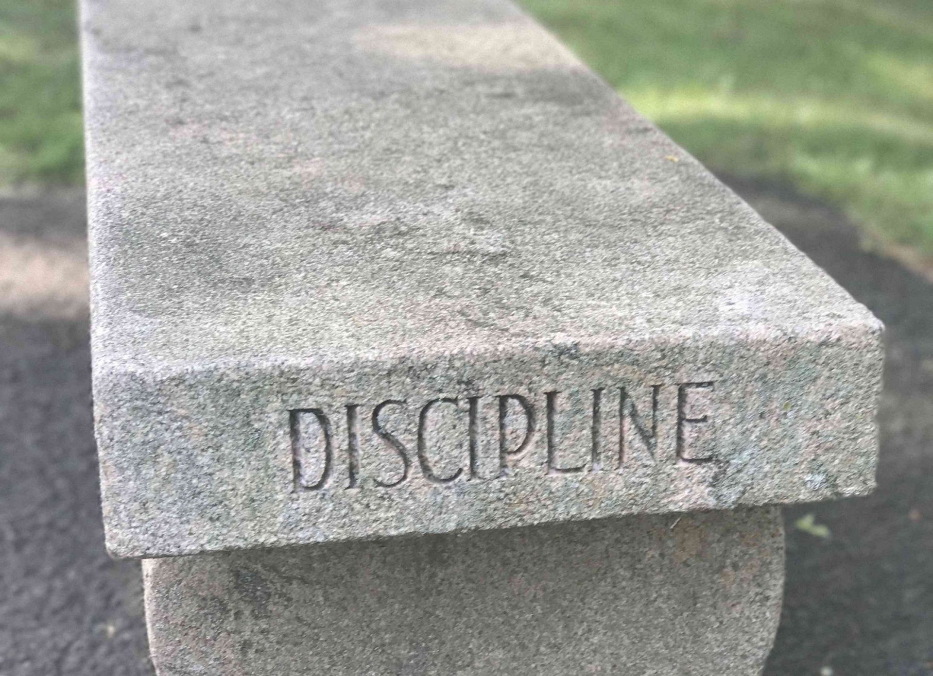 discipline bench
