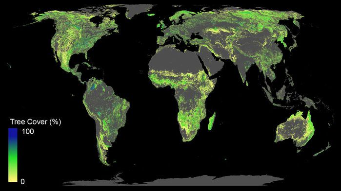 mapa de la cobertura arbórea potencial