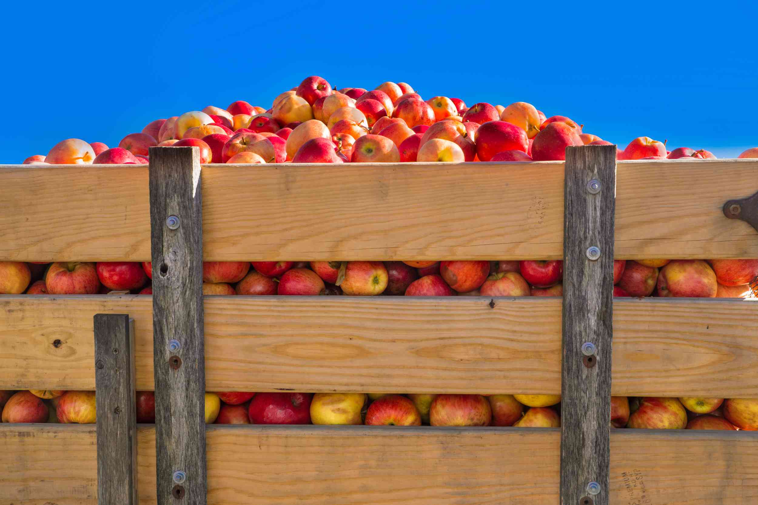 manzanas en un camión