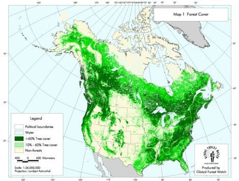 Mapa de la cubierta forestal de Norteamérica