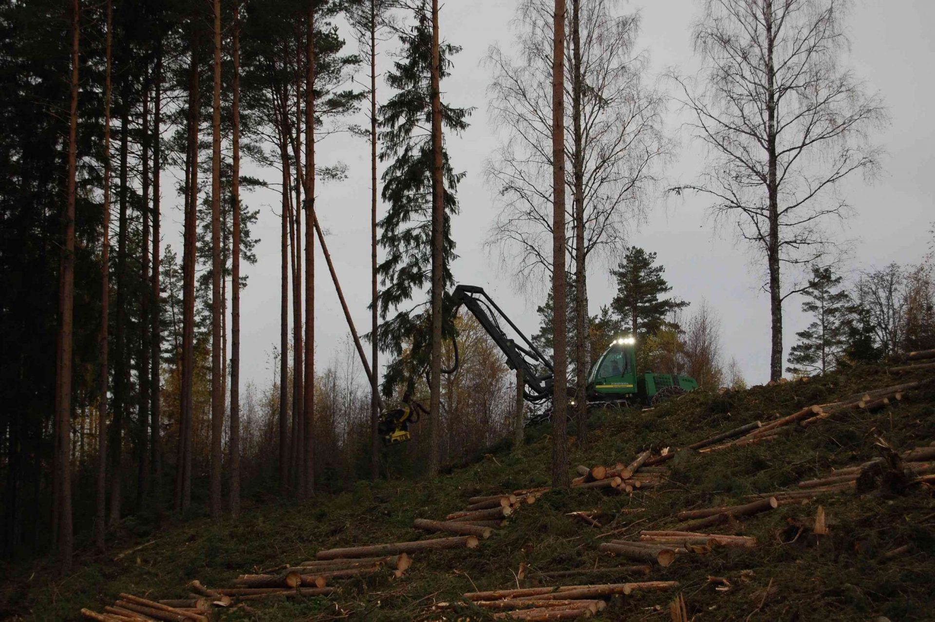 La silvicultura sostenible se practica en Suecia