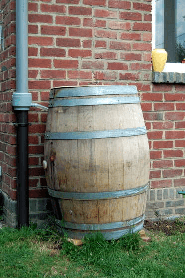 barril de vino convertido en barril de lluvia