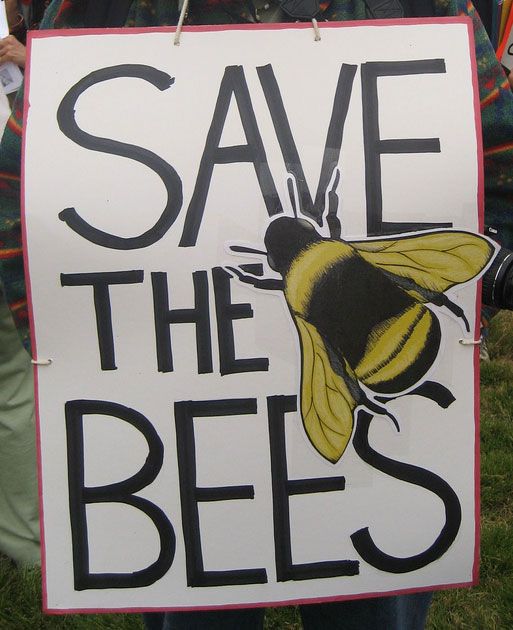 cartel pro abeja