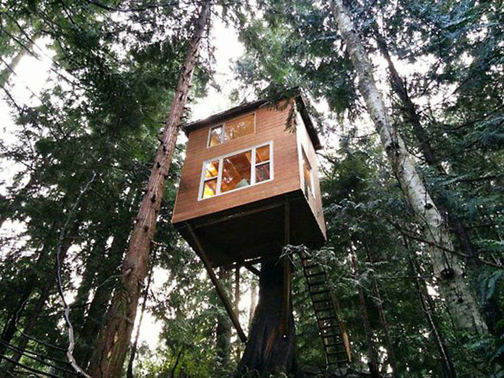 Casa diminuta en un árbol