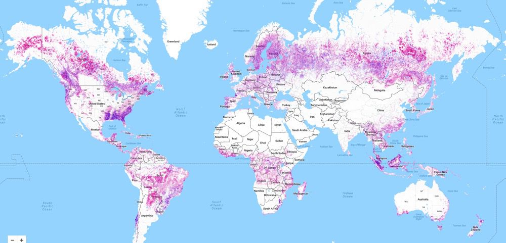Global forest loss