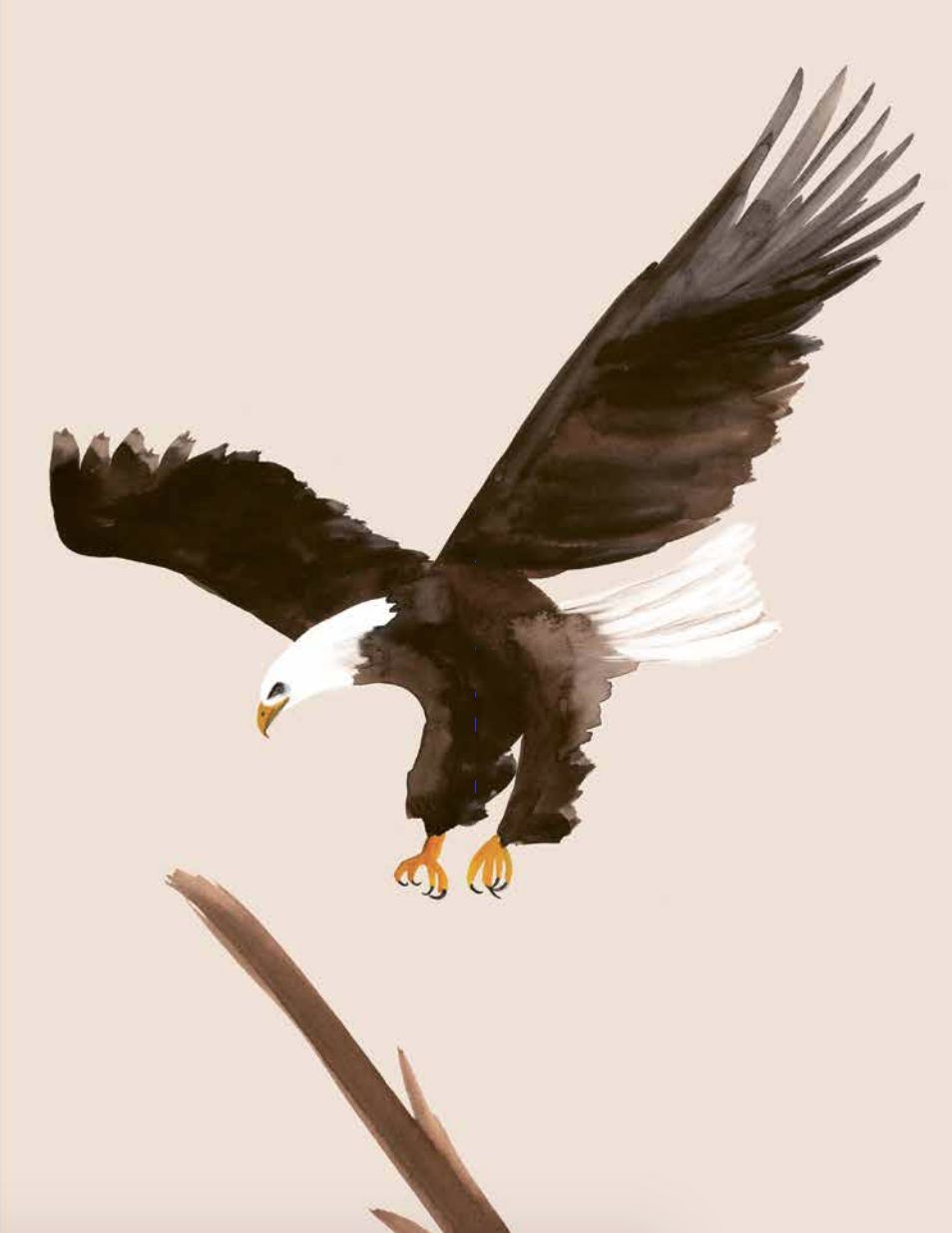 águila real