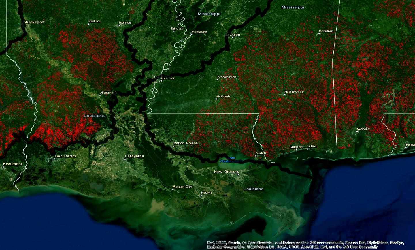 Mapa que muestra la pérdida de hábitat del pico rojo