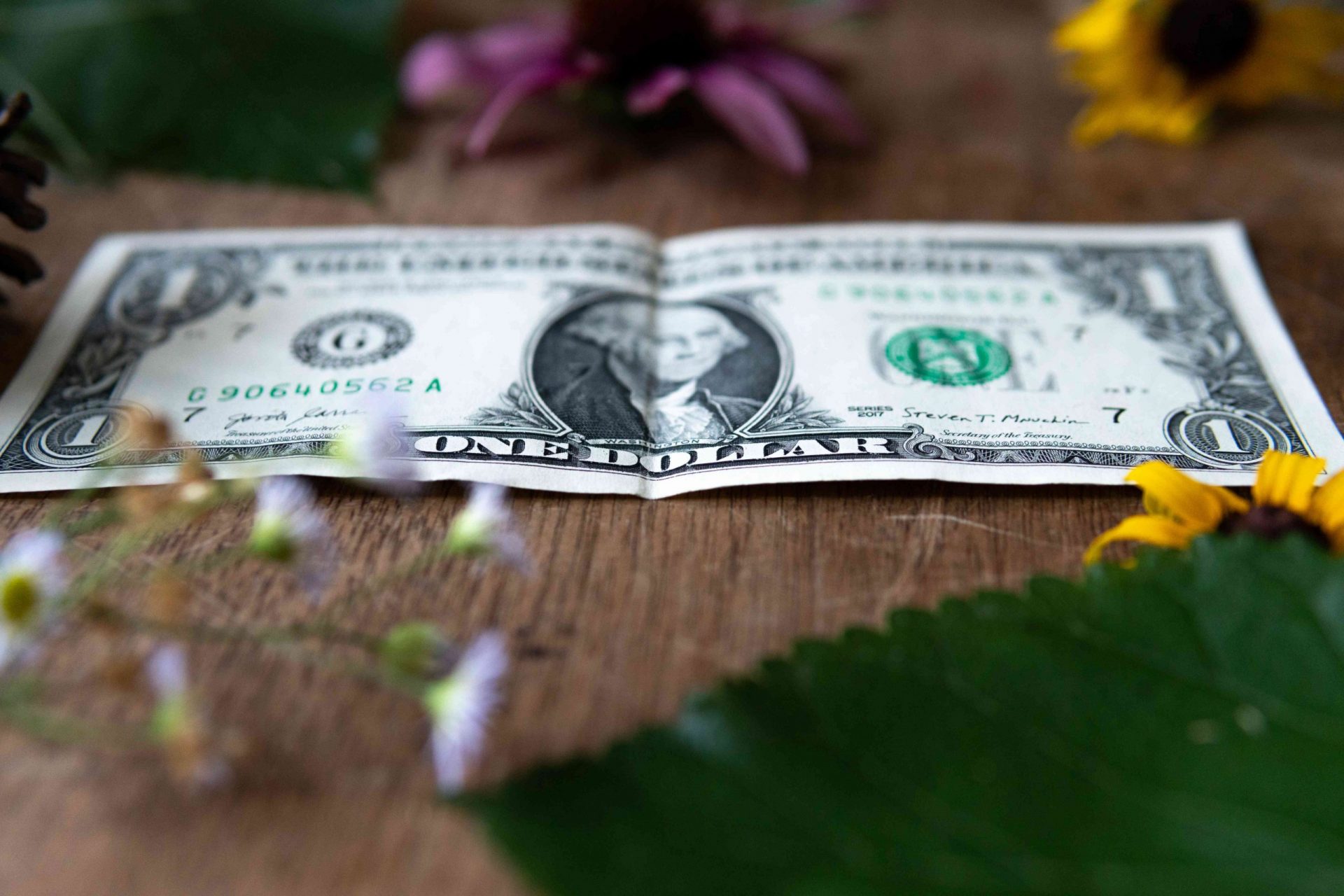billete de un dólar sobre una mesa de madera rodeada de plantas y flores