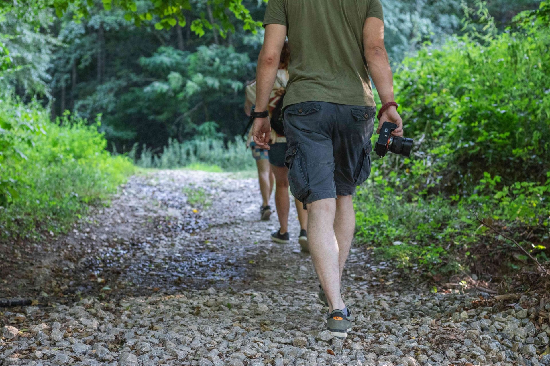 grupo de excursionistas se mantiene en el sendero rocoso mientras se adentra en el bosque