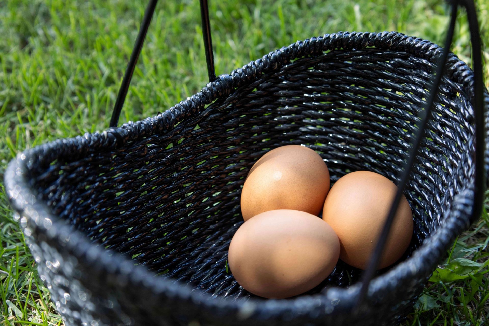 tres huevos marrones frescos de granja en una cesta de mimbre negra en la hierba