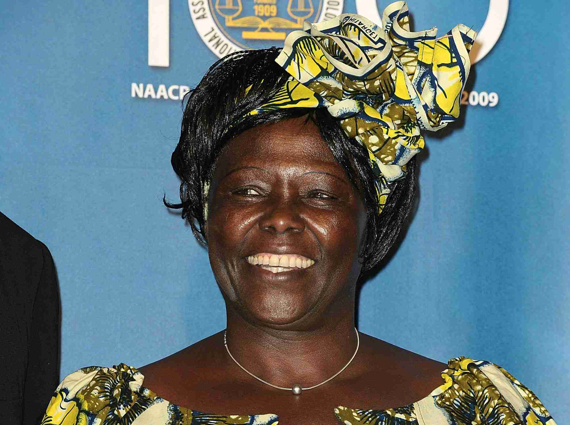 Wangari Maathai hablando