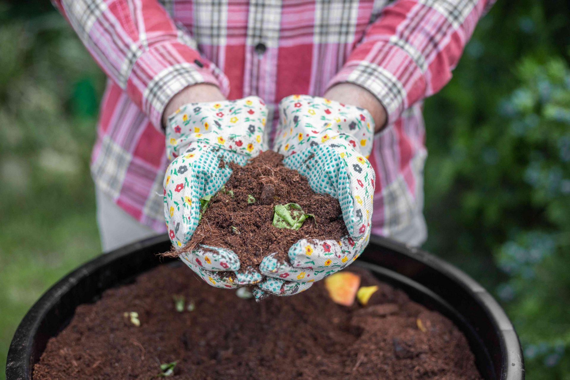 persona con camisa de cuadros y guantes de jardinería muestra el compost fresco en un cubo negro