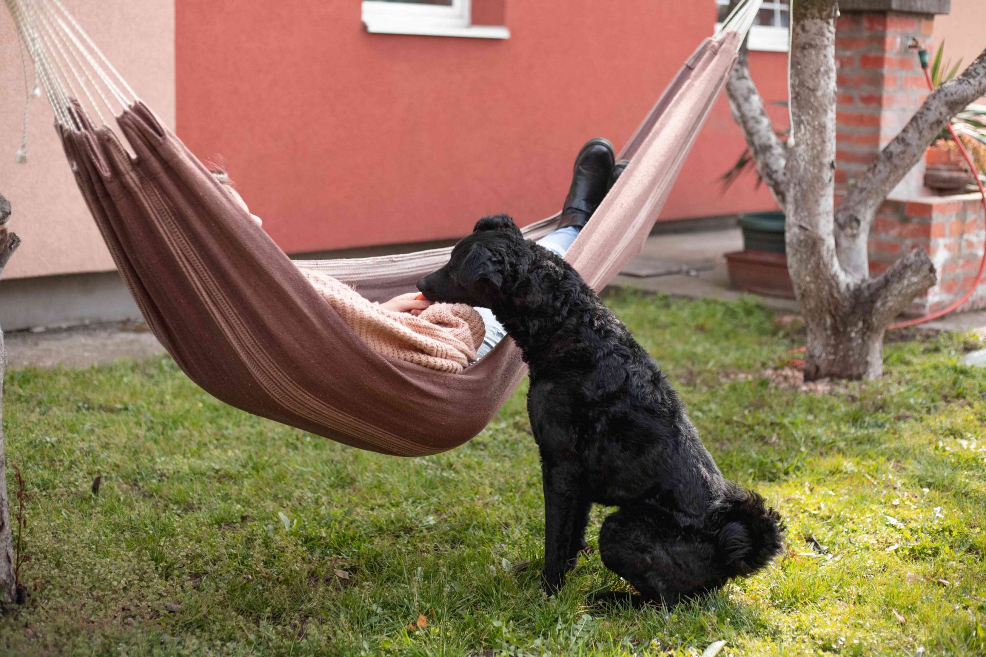 una persona se balancea en una hamaca mientras un perro negro se sienta pacientemente a su lado