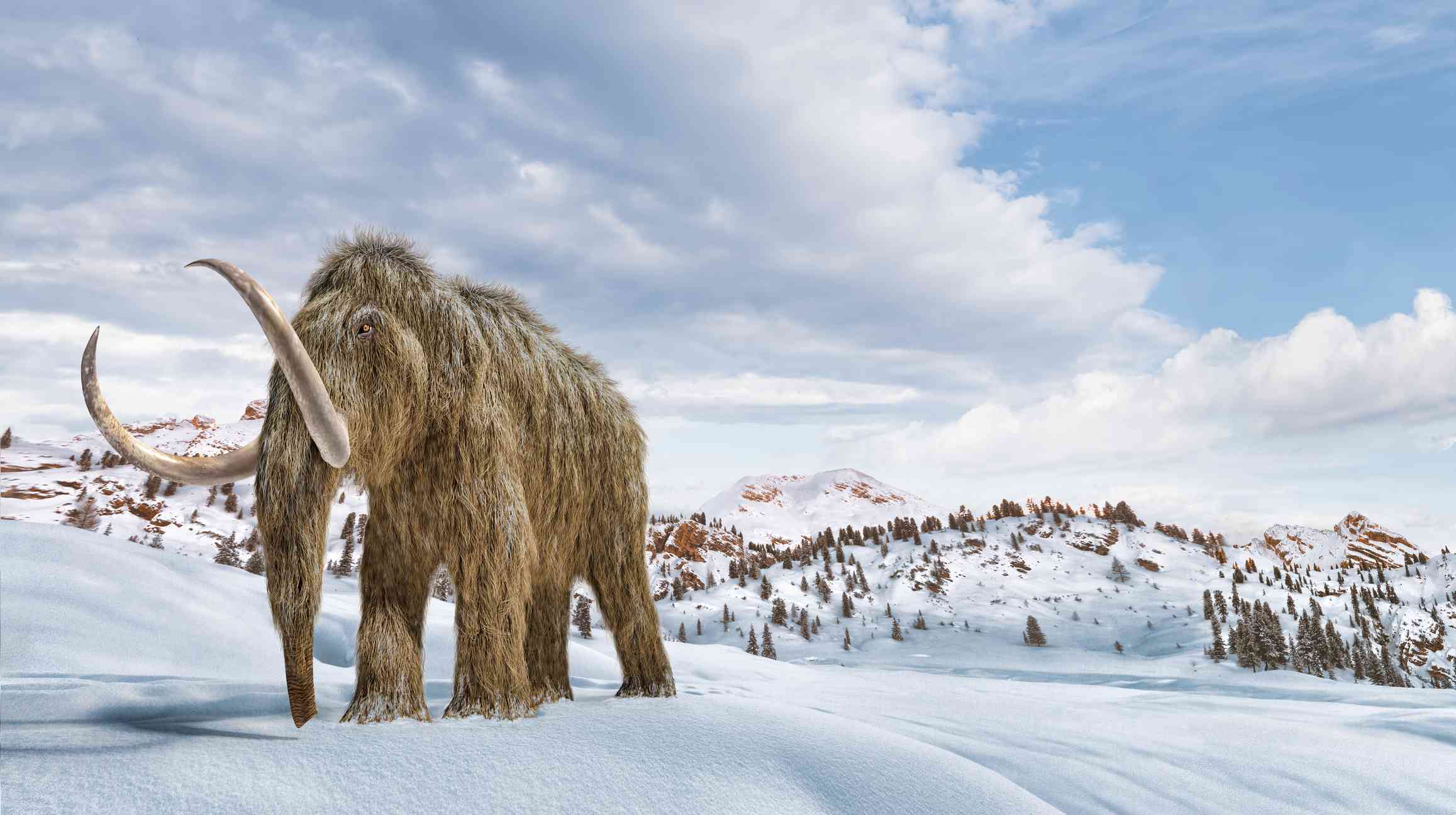 Mamut lanudo en la nieve, ilustración
