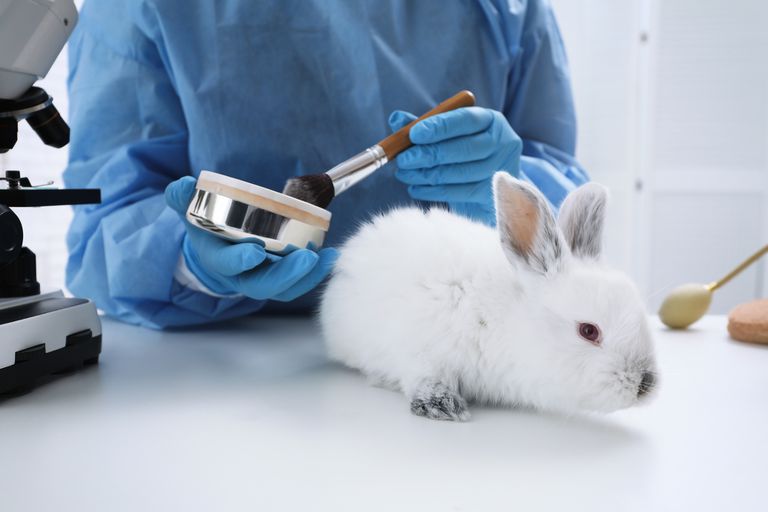 Todo lo que debes saber sobre la experimentación con animales en los